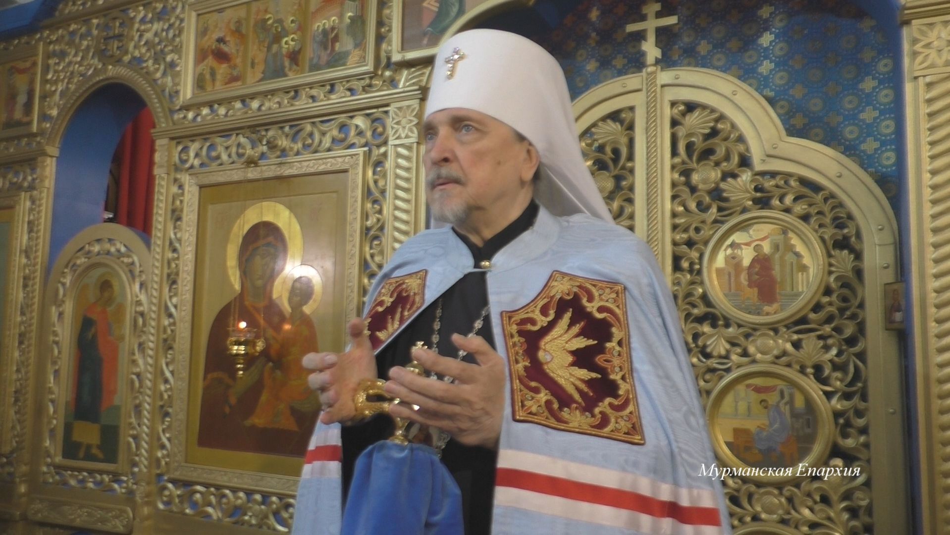 О явлении чистого плода человечества