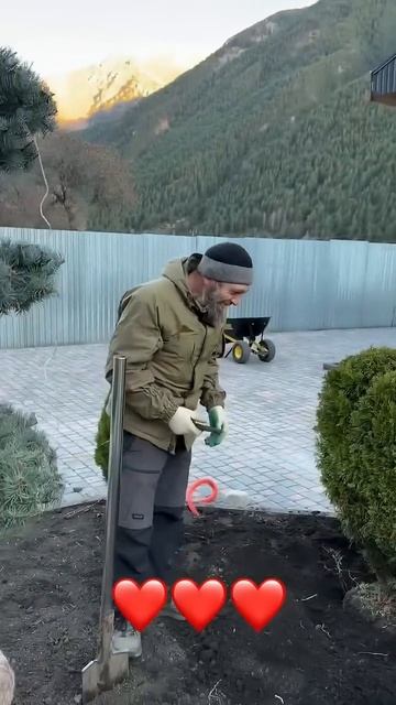 Ширик: я посвящаю это сердце… #ёлки #туи #дизайнучастка #озеленение #ландшафт #отдых #работа