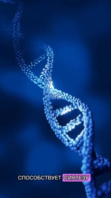 Ударная комбинация из Омега3 с D3, K2 и витамином С