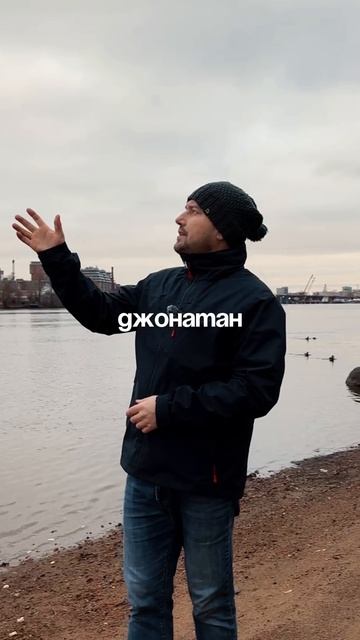 Чайка по имени Джонатан Ливингстон. Ричард Бах #shorts #чайка