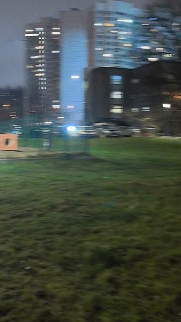 прогулка с собачкой 🦮