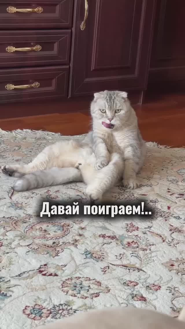 Смотрели?😻