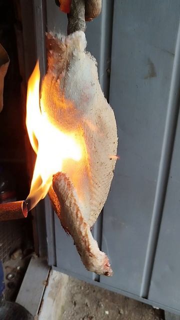 Обработка тушки индоутки