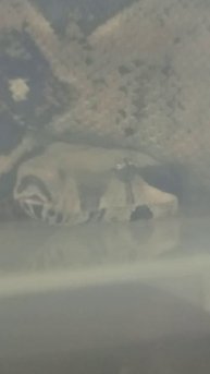 Ноника... 2 декабря 2025 г.