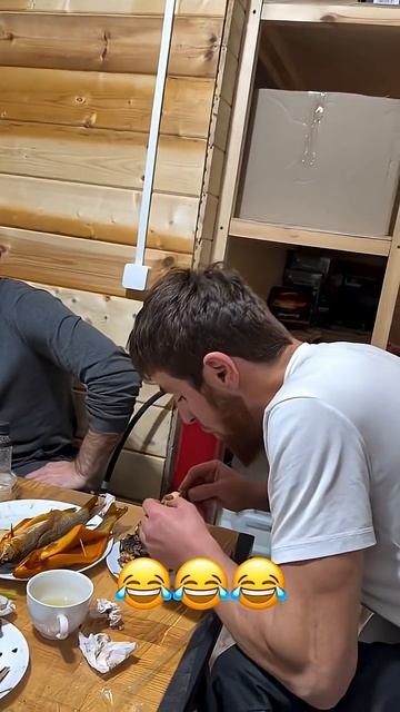 Ширик Прав или Нет? Напишите #ёлки #туи #озеленениеподключ #дизайнучастка #озеленение #эльбрус