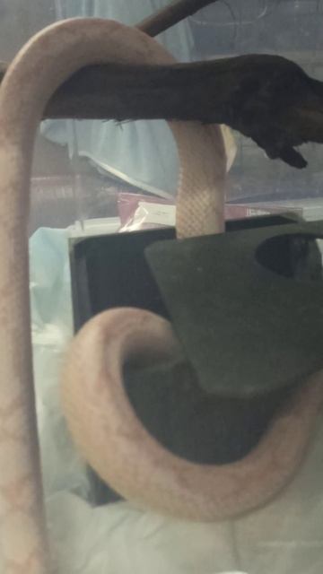 С Карамелькой скучно не бывает! 30 ноября 2025 г.