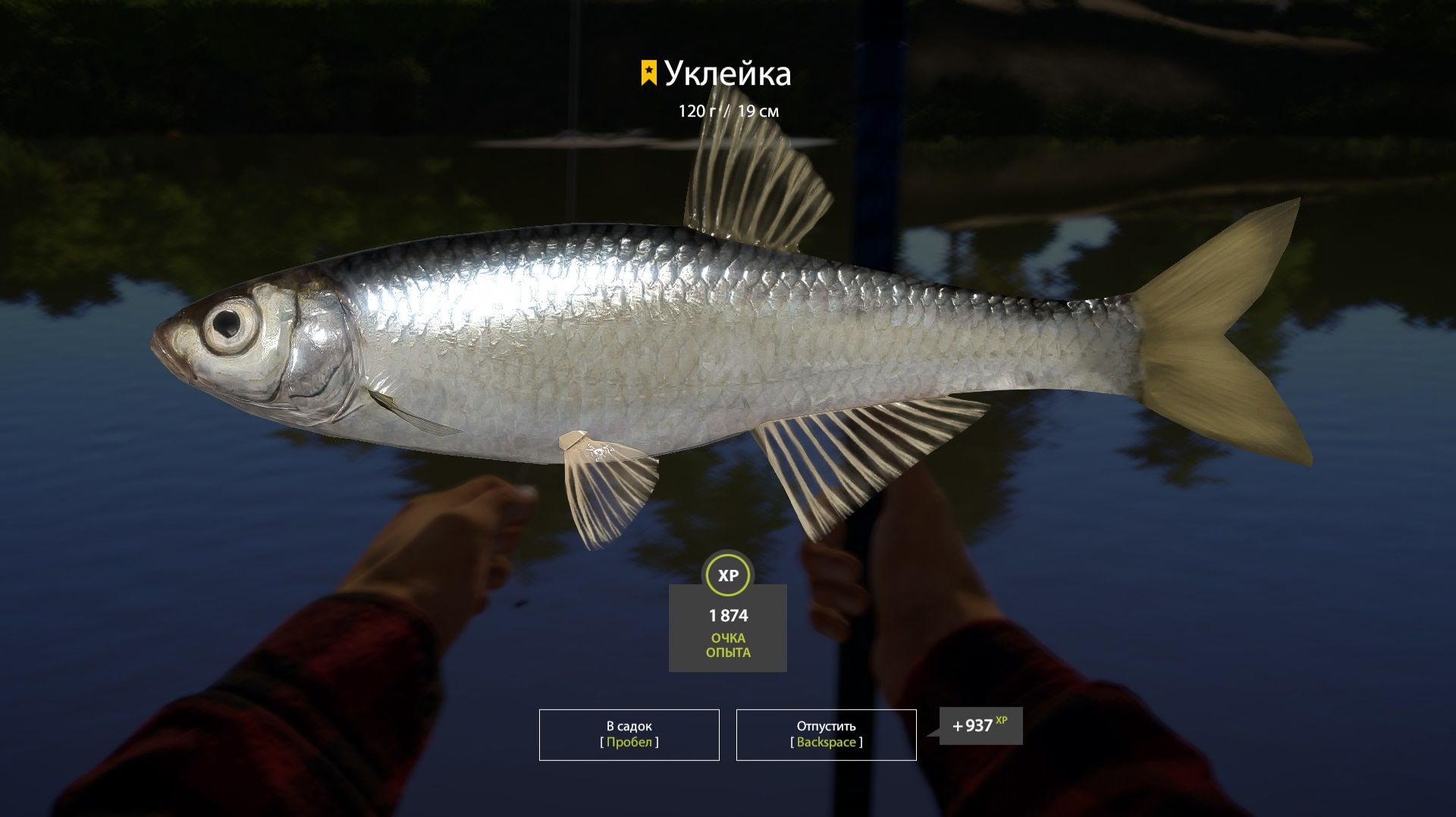 Русская рыбалка 4. Тихими шагами идём к 20 уровню. Еще чуть больше 100к