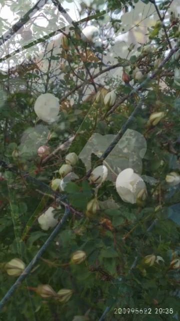 Архив 2019 г.(10)