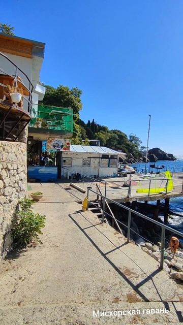 Алупка причал, дикий пляж Ялта Крым море 🍎 #searuss #мисхорскаягавань