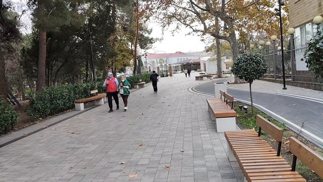 Анапа. Сегодня пасмурно и прохладнëхонько. На площади Родина ставят ëлки! 4 декабря 2025. 14.40