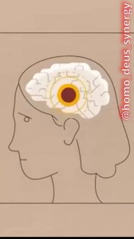 Скрытые рычаги управления поведением и их оследствия #homodeus