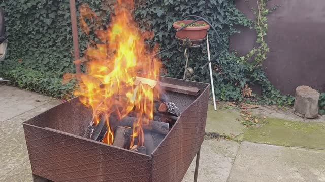 Шашлыки от печали и тоски.