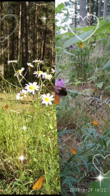 Архив 2019 г. (8)