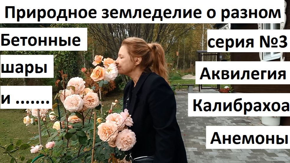 Природное земледелие о разном. Серия №3.