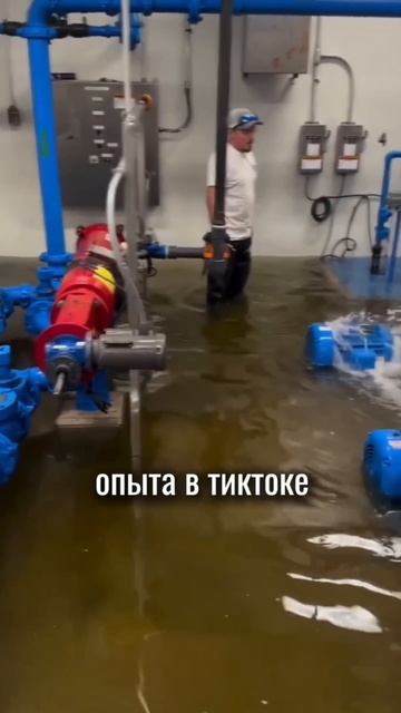 Знакомо?!) Чтобы не тонули приямки ваших бассейнов - учиться нужно на PoolM.