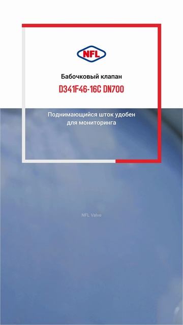 D341F46-16C DN700 Бабочковый клапан-NFL
