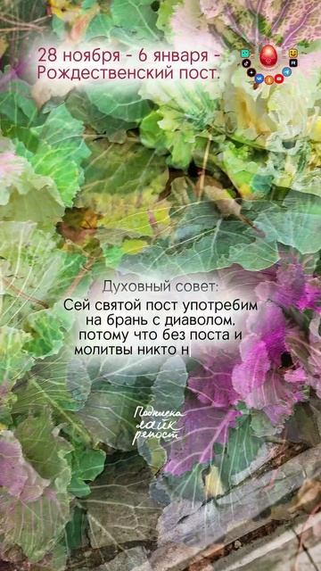 Этот пост поможет победить!..