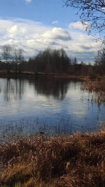 19 ноября 2025