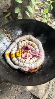 Жареная змея с лемонграссом