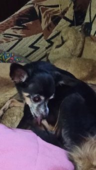 Джоник и Туся. 26 ноября 2025 г.