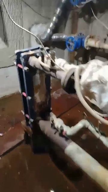 Эстонская, 37/7