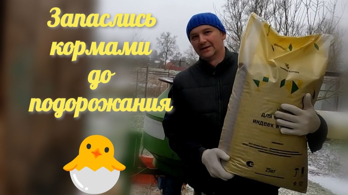 Гуси зашли в огород, заранее купили корма, опрессовали отопление