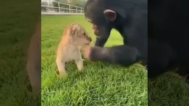 Доктора Вызывали... 🌟🌞🕵️