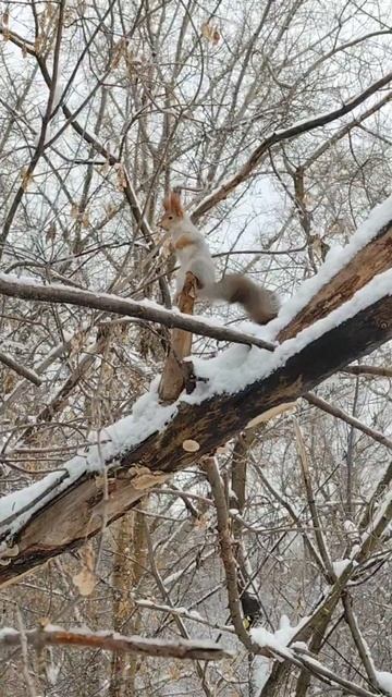 Конец рабочей недели)) Всё мы немного "глючим")))😁🥰