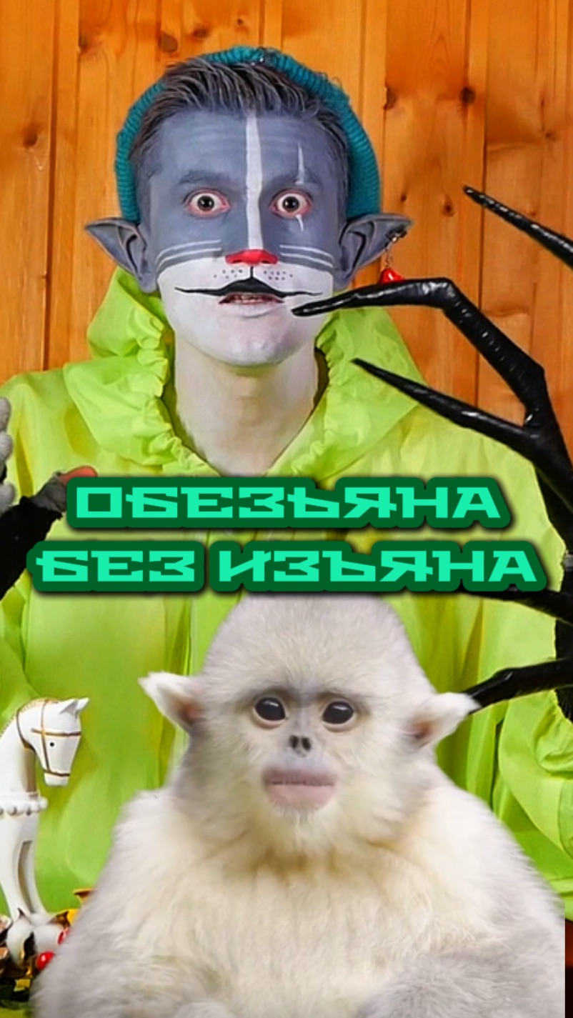 Кот Учёный и Обезьяна 🐒