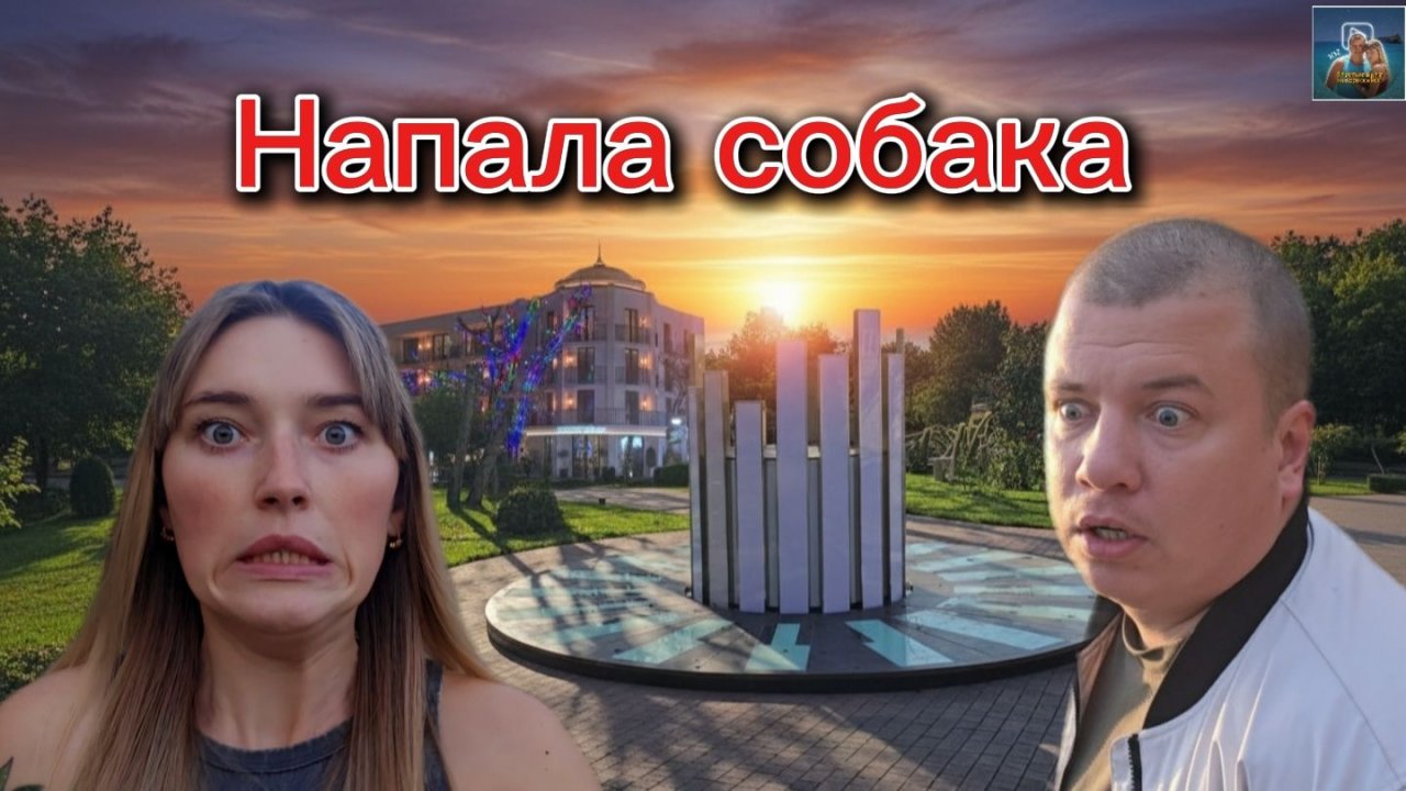 Напала собака