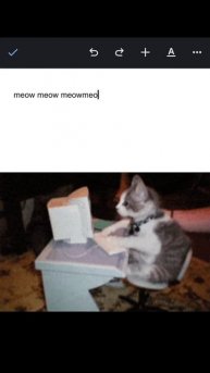 Это все что он хотел сказать