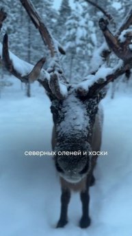 Северные окраины России