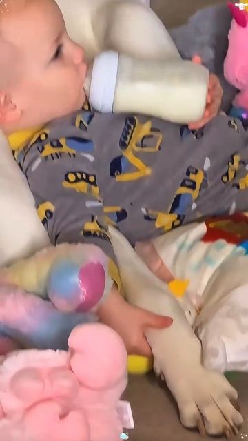 Лучший друг человека 😊 Подписываемся 😉