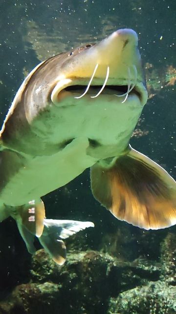 Вот бы его съесть 🤤