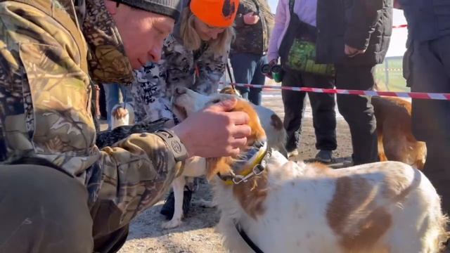 Воскресенская выставка