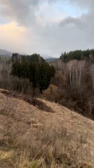 Кисловодский парк без суеты - магия тихого времени