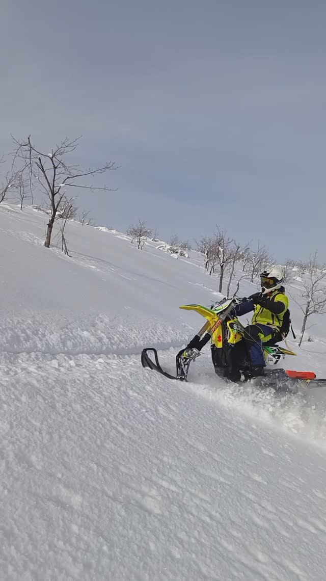 первый снег