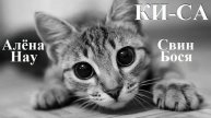 Свин Бося . КИ-СА