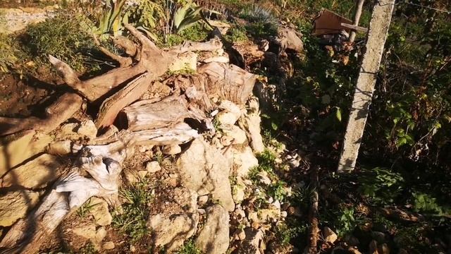 Дизайн участка с уклоном на юг. История работ, часть 1