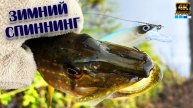 Щука лучше клюёт на эту проводку❗ Ловля на спиннинг зимой ❗