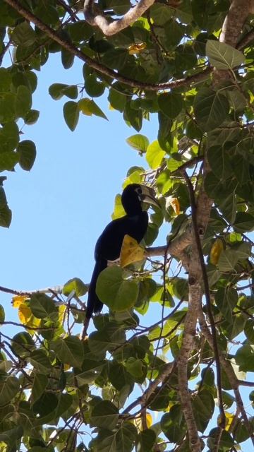 Пхукет, Banana Beach (Koh Hey) บานาน่าบีช (เกาะเฮ)
