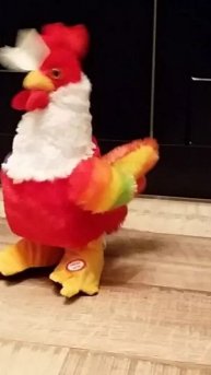 Петухи из тик-тока 2 сезон 7 часть.