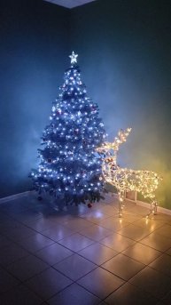 Ёлочка в АБК