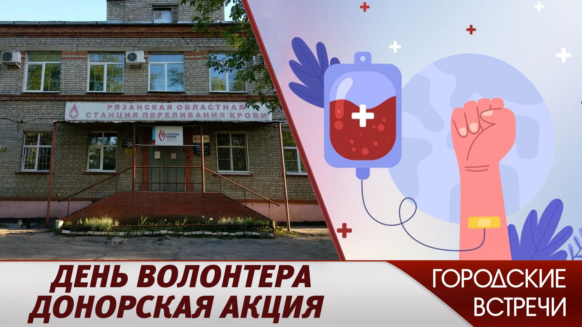 Личный вклад // «Городские встречи»