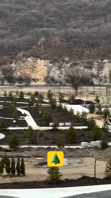 Озеленение по всей России Профессиональное озеленение по всей России #дизайнучастка #ёлки