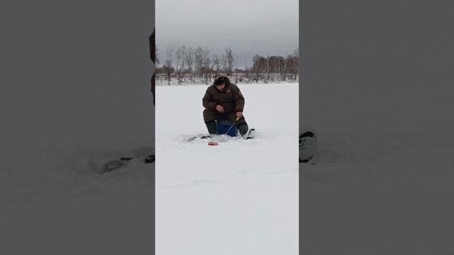 Ловим окуня на балансир! 👍😍
