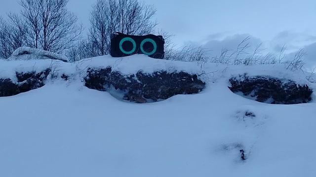 ПОРТАТИВНАЯ АКУСТИЧЕСКАЯ СИСТЕМА УРАЛ МОЛНИЯ 600. Прослушивание на природе.