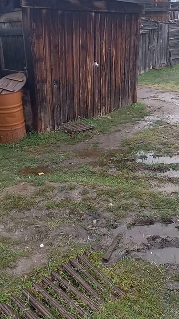 просто дождь