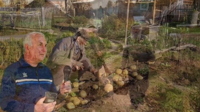 Пенсионеры