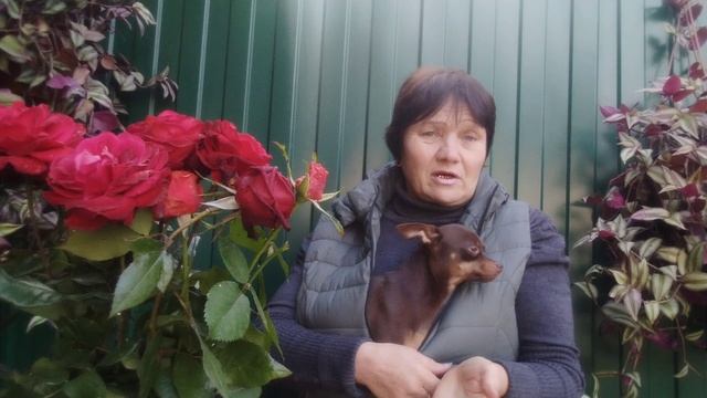 Главный герй